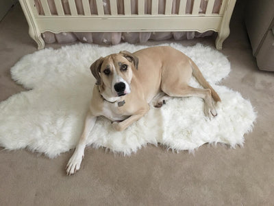 How to Prank Your Friends and Pets with Faux Fur Rugs
